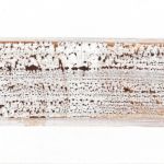 <strong>Sepia Rosetta #1</strong><br />
acrylic on canvas 24” X 48" Sepia Rosetta #1