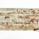 <strong>Moss Rosetta #1</strong><br />
acrylic on linen  30" x 40"  <strong>SOLD </strong> Moss Rosetta