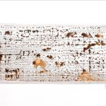 <strong>Sepia Rosetta #2 </strong><br />
acrylic on canvas 36” X 60” Sepia Rosetta #2