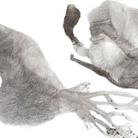 <strong>David the Critter Killer </strong> © <br /> 36" X 60" David the Critter Killer