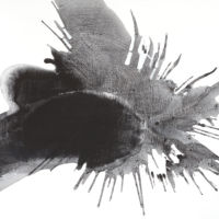 <strong>Natures underwater collision</strong> © <br />  36" X 60" Natures underwater collision