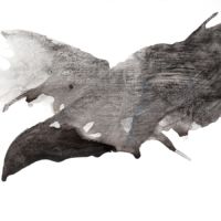 <strong>Missed me.</strong> © <br /> 30" X 40" Missed me © Murry Handler