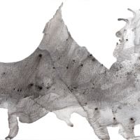 <strong>Penguins hitch a ride on elephant's parade.</strong>©<br /> 36" X 60" Penguins hitch a ride on elephant's parade.