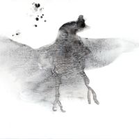 <STRONG>Soft Landing</strong> ©<br /> 30" X 40" Soft Landing 30"X40"